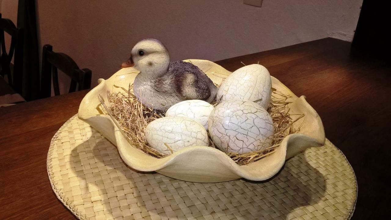 Castex  Au Peimarti Bed & Breakfast エクステリア 写真
